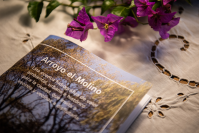 Presentación del librillo &amp;quot;Arroyo El Molino. Valor ambiental, urbano e histórico para el disfrute de todos y todas&amp;quot;, 05 de junio de 2022