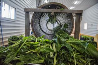 Servicio de Regulación Alimentaria visita emprendimientos rurales para asesoramiento y apoyo Servicio de Regulación Alimentaria visita emprendimientos rurales para asesoramiento y apoyo