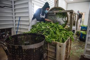 Servicio de Regulación Alimentaria visita emprendimientos rurales para asesoramiento y apoyo