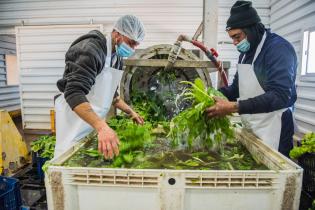 Servicio de Regulación Alimentaria visita emprendimientos rurales para asesoramiento y apoyo Servicio de Regulación Alimentaria visita emprendimientos rurales para asesoramiento y apoyo