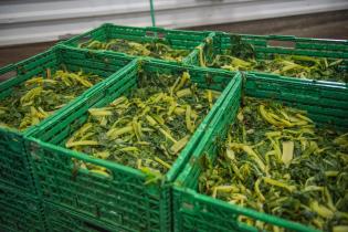 Servicio de Regulación Alimentaria visita emprendimientos rurales para asesoramiento y apoyo Servicio de Regulación Alimentaria visita emprendimientos rurales para asesoramiento y apoyo