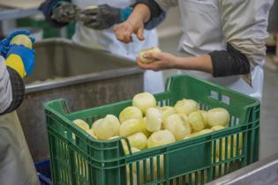 Servicio de Regulación Alimentaria visita emprendimientos rurales para asesoramiento y apoyo Servicio de Regulación Alimentaria visita emprendimientos rurales para asesoramiento y apoyo