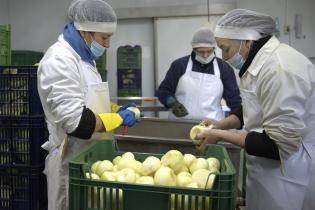 Visita del Servicio de Regulación Alimentaria a emprendimientos rurales para asesoramiento y apoyo Visita del Servicio de Regulación Alimentaria a emprendimientos rurales para asesoramiento y apoyo