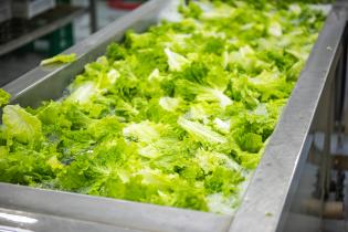 Servicio de Regulación Alimentaria visita emprendimientos rurales para asesoramiento y apoyo Servicio de Regulación Alimentaria visita emprendimientos rurales para asesoramiento y apoyo