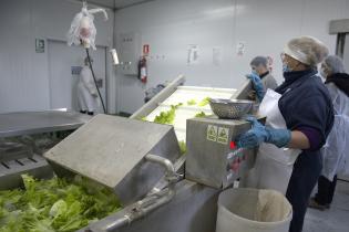Visita del Servicio de Regulación Alimentaria a emprendimientos rurales para asesoramiento y apoyo Visita del Servicio de Regulación Alimentaria a emprendimientos rurales para asesoramiento y apoyo