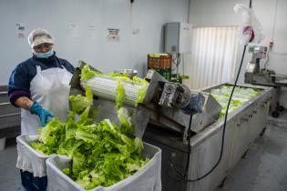 Servicio de Regulación Alimentaria visita emprendimientos rurales para asesoramiento y apoyo Servicio de Regulación Alimentaria visita emprendimientos rurales para asesoramiento y apoyo