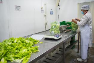 Servicio de Regulación Alimentaria visita emprendimientos rurales para asesoramiento y apoyo