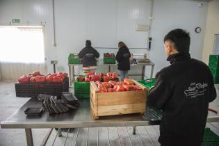 Servicio de Regulación Alimentaria visita emprendimientos rurales para asesoramiento y apoyo Servicio de Regulación Alimentaria visita emprendimientos rurales para asesoramiento y apoyo