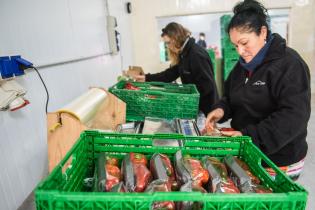 Servicio de Regulación Alimentaria visita emprendimientos rurales para asesoramiento y apoyo Servicio de Regulación Alimentaria visita emprendimientos rurales para asesoramiento y apoyo