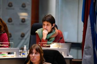 Rendición de cuentas de Desarrollo Ambiental en la Junta Departamental de Montevideo Rendición de cuentas de Desarrollo Ambiental en la Junta Departamental de Montevideo