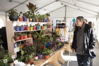 Autoridades de la división Desarrollo Económico recorren la Feria de Emprendimientos Autoridades de la división Desarrollo Económico recorren la Feria de Emprendimientos