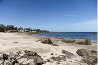 Jornada de limpieza en playa Santa Catalina en el marco del Día de la Tierra