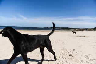 Jornada de limpieza en playa Santa Catalina en el marco del Día de la Tierra