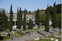 Cementerio del Cerro
