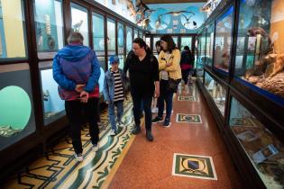 Museo Oceanográfico "Dámaso Antonio Larrañaga" Museo Oceanográfico "Dámaso Antonio Larrañaga", 30 de setiembre de 2022
