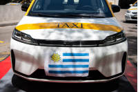 Presentación de sticker para identificación de taxis pet friendly,  11 de noviembre de 2022