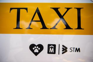 Presentación de sticker para identificación de taxis pet friendly,  11 de noviembre de 2022