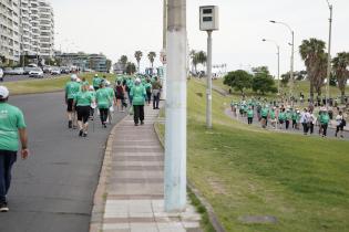 Carrera San Felipe y Santiago 