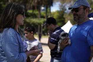 Jornada de adopción de animales de compañia