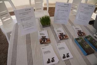 Jornada de adopción de animales de compañia Jornada de adopción de animales de compañia