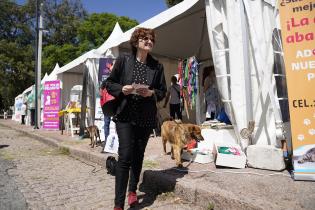 Jornada de adopción de animales de compañia Jornada de adopción de animales de compañia