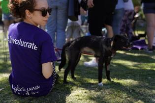 Jornada de adopción de animales de compañia Jornada de adopción de animales de compañia