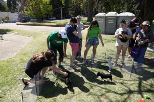 Jornada de adopción de animales de compañia