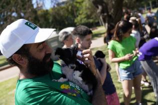 Jornada de adopción de animales de compañia