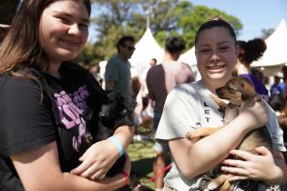 Jornada de adopción de animales de compañia