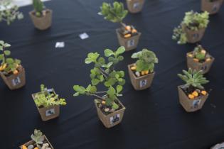 Feria Expo Macamba en el marco de la semana de la equidad étnico racial