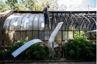 Reparación del techo del invernáculo del Jardín Botánico Prof. Atilio Lombardo