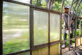 Reparación del techo del invernáculo del Jardín Botánico Prof. Atilio Lombardo