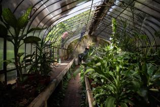 Reparación del techo del invernáculo del Jardín Botánico Prof. Atilio Lombardo