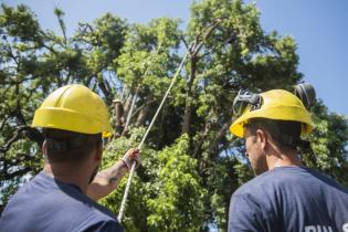 Cuadrilla de trabajo en zonas afectadas por temporal