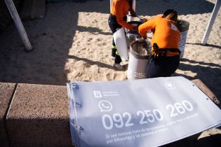 Intervención de limpieza en la playa Ramírez Intervención de limpieza en la playa Ramírez, 10 de enero de 2023