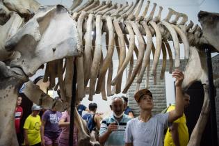 Actividad interplayas en la explanada del Museo Oceanográfico, 20 de enero de 2023