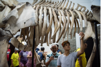 Actividad interplayas en la explanada del Museo Oceanográfico, 20 de enero de 2023