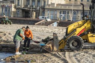 Operativo de limpieza en la playa Ramírez por la celebración de Iemanjá Operativo de limpieza en la playa Ramírez por la celebración de Iemanjá