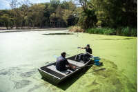 Limpieza en el lago del Parque Rivera, 06 febrero de 2023