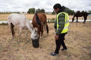 Jornada de adopción de caballos en el marco de la reconversión laboral de clasificadores, 17 de febrero de 2023