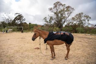 Jornada de adopción de caballos en el marco de la reconversión laboral de clasificadores Jornada de adopción de caballos en el marco de la reconversión laboral de clasificadores, 17 de febrero de 2023