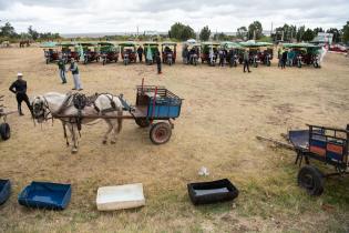 Jornada de adopción de caballos en el marco de la reconversión laboral de clasificadores Jornada de adopción de caballos en el marco de la reconversión laboral de clasificadores, 17 de febrero de 2023