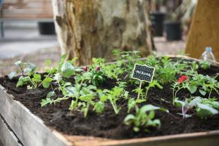 Montevideo más verde en la Semana Criolla 2023 Montevideo más verde en la Semana Criolla 2023