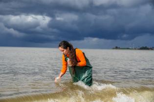 Servicio de evaluación de la calidad y control ambiental Servicio de evaluación de la calidad y control ambiental