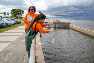 Servicio de evaluación de la calidad y control ambiental Servicio de evaluación de la calidad y control ambiental