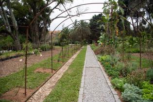 Remodelación del vivero y semillero Quinta Storacce