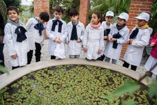 Remodelación del vivero y semillero Quinta Storacce