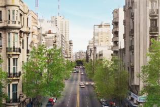 Proyecto arbolado en Av.18 de Julio Proyecto arbolado en Av.18 de Julio