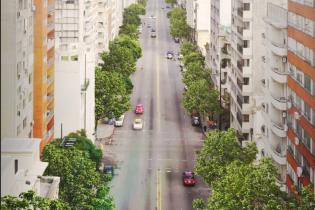 Proyecto arbolado en Av.18 de Julio