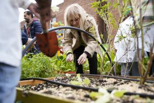 Visita de la intendenta Carolina Cosse a la huerta comunitaria en la escuela Nº 249